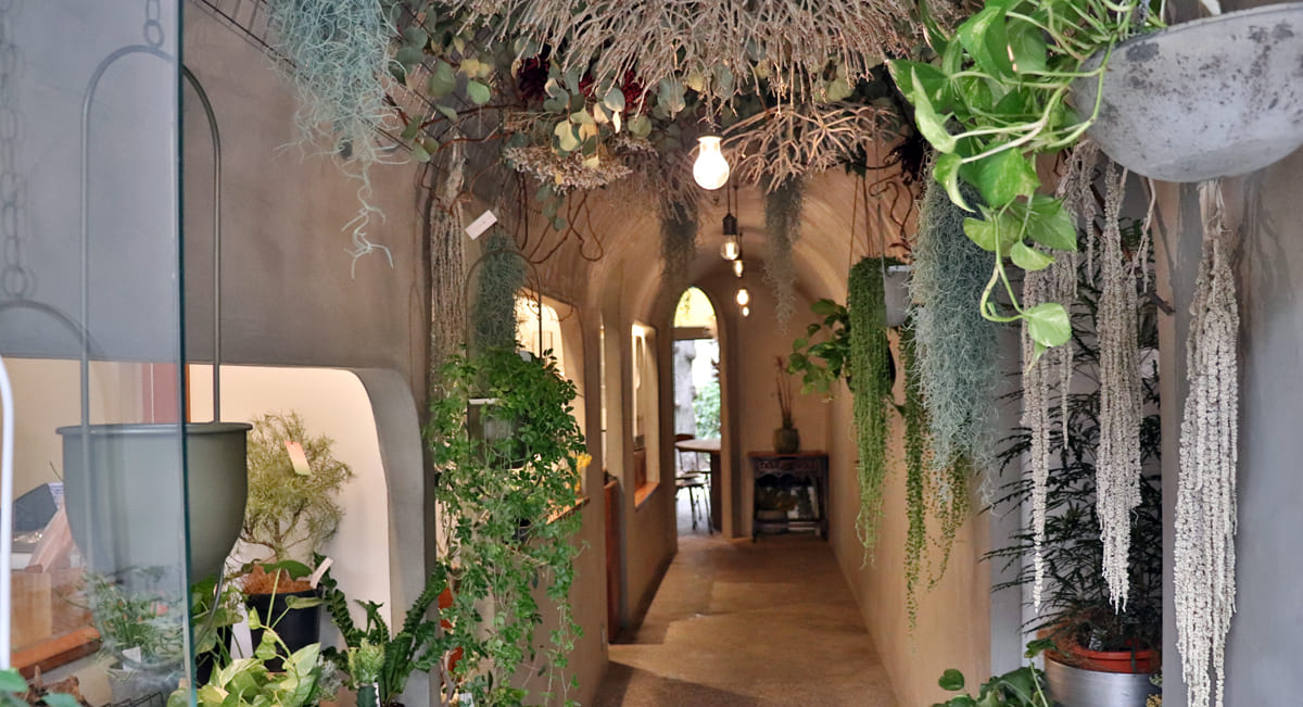 原宿・花ナ々ナ（ハナバナ）門前仲町の内観1